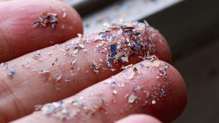 Pakar Jelaskan Bahaya Mikroplastik yang Kini Ditemukan dalam Tubuh Manusia